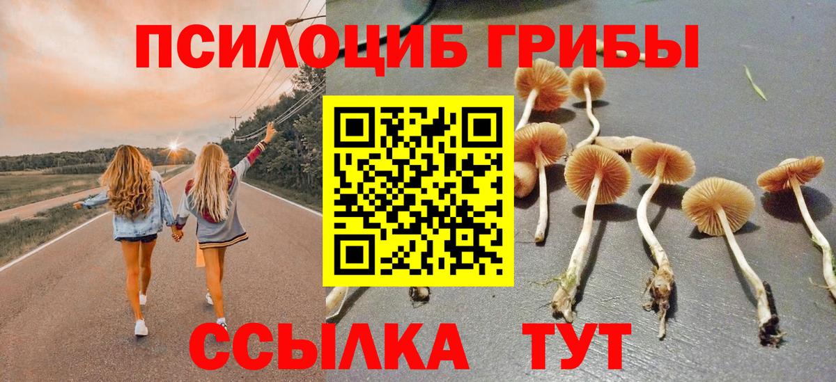 Галлюциногенные грибы Magic Shrooms  Вход с VPN  Торжок 